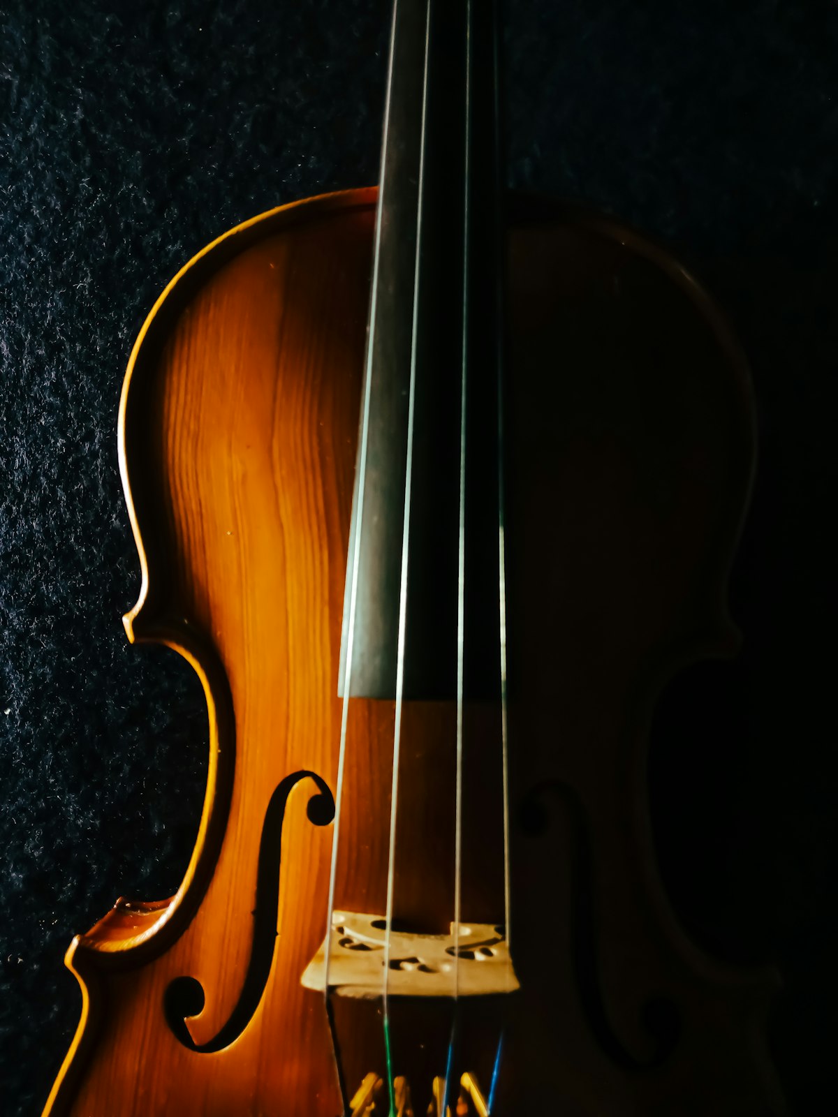 Violin taught at London Tamil Centre